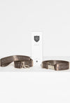 dog collar and leash