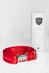 dog collar and leash