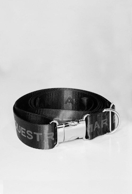 dog collar and leash